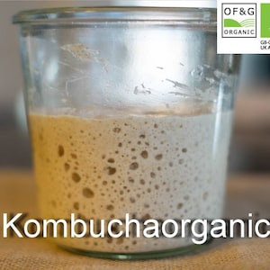 80g Genuine CERTIFIED OF&G Organic 45 year old Wild Yeast Sourdough Starter Rye Wholemeal Bread from Kombuchaorganic®