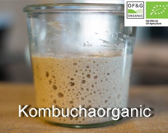 80g Genuine CERTIFIED OF&G Organic 45 year old Wild Yeast Sourdough Starter Rye Wholemeal Bread from Kombuchaorganic®