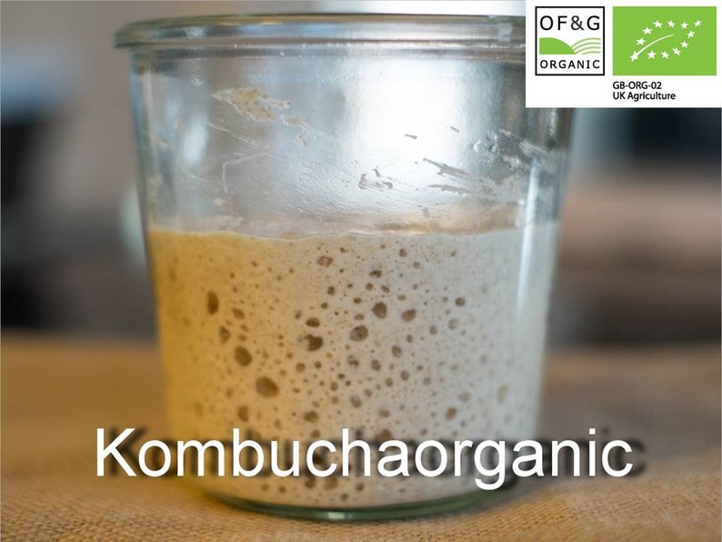 80g Genuine CERTIFIED OF&G Organic 40 year old Wild Yeast Sourdough Starter Rye Wholemeal Bread from Kombuchaorganic® image 1