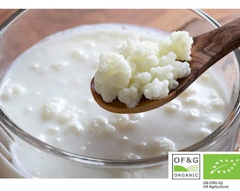 10g of Organic Milk Kefir Grains: Live Culture, Non-Dairy Options, LAB Tested