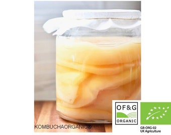 XL for 5 litre jar Certified OF&G Organic Jun Tea Scoby for Green Tea and Honey Kombucha by Kombuchaorganic® Ukas LAB Tested (Als Global)