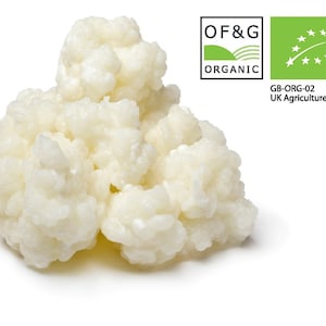 ヤギミルク、ココナッツミルク、オーツミルク、ヘーゼルナッツミルク、大豆非乳製品、Kombuchaorganic® LABテスト済み、認定OF&Gオーガニックケフィアグレイン10g