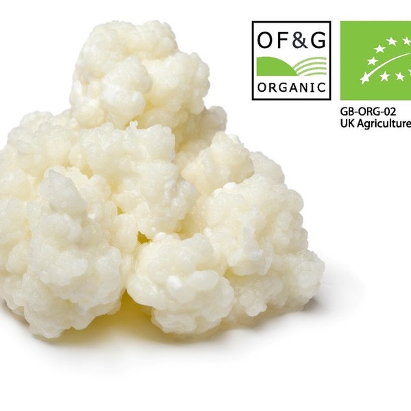 10g of Certified OF&G Organic Kefir Grains for Goats milk Coconut milk Oats milk Hazelnut milk Soy non dairy by Kombuchaorganic®  LAB Tested