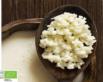 15 g di grani di kefir di latte biologico certificato di qualità superiore antipasto di funghi tibetani Servizio postale GRATUITO di Kombuchaorganic®