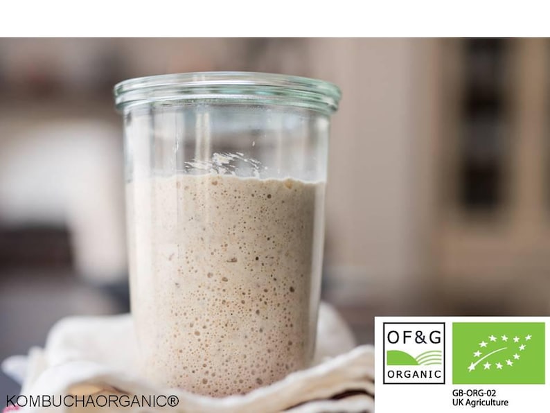 May include: A glass jar filled with a bubbly, light brown sourdough starter. The jar is sitting on a white cloth. The image also includes two organic certification logos.