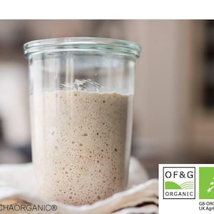 May include: A clear glass jar filled with beige, bubbly sourdough starter. The text KOMBUCHAORGANIC appears at the bottom left. A rectangular logo at the bottom right features the text OF&G ORGANIC, a green leaf symbol, and GB-ORG-02 UK Agriculture.