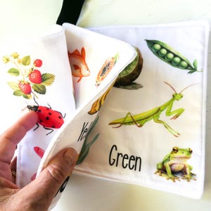 May include: A white fabric book with colorful illustrations of a ladybug, strawberries, a fish, a papaya, an avocado, a praying mantis, and a frog. The book has the words "Yellow" and "Green" printed on it.