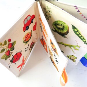May include: A colorful cloth book for babies and toddlers with images of a red car, strawberries, a ladybug, a watermelon, a papaya, an orange, a kiwi, a green pea pod, a praying mantis, and a frog. The book has colorful ribbon ties.