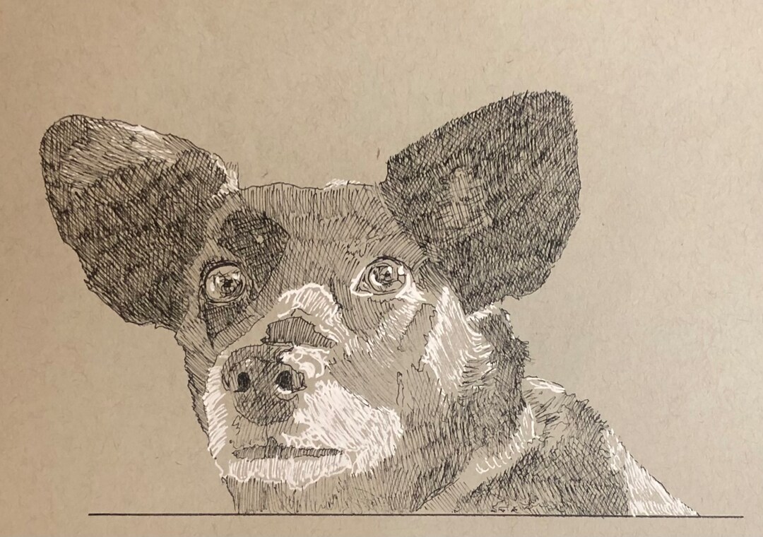 Custom Pet Portrait - Pen and Ink - Etsy