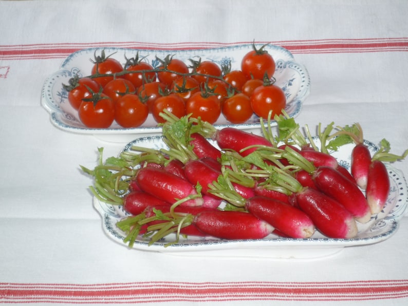 Pair of Two Serving Platters Hors D'oeuvre Dish Céramic Etsy