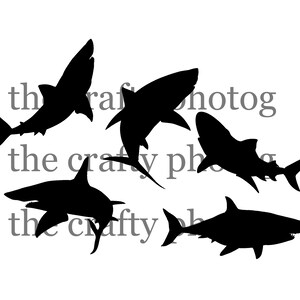 Shark Silhouette PNG