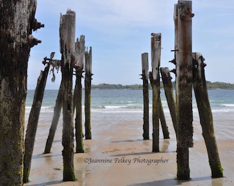 May include: A weathered wooden pier with multiple posts extending into the ocean. The posts are covered in barnacles and seaweed. The beach is sandy and the water is blue.