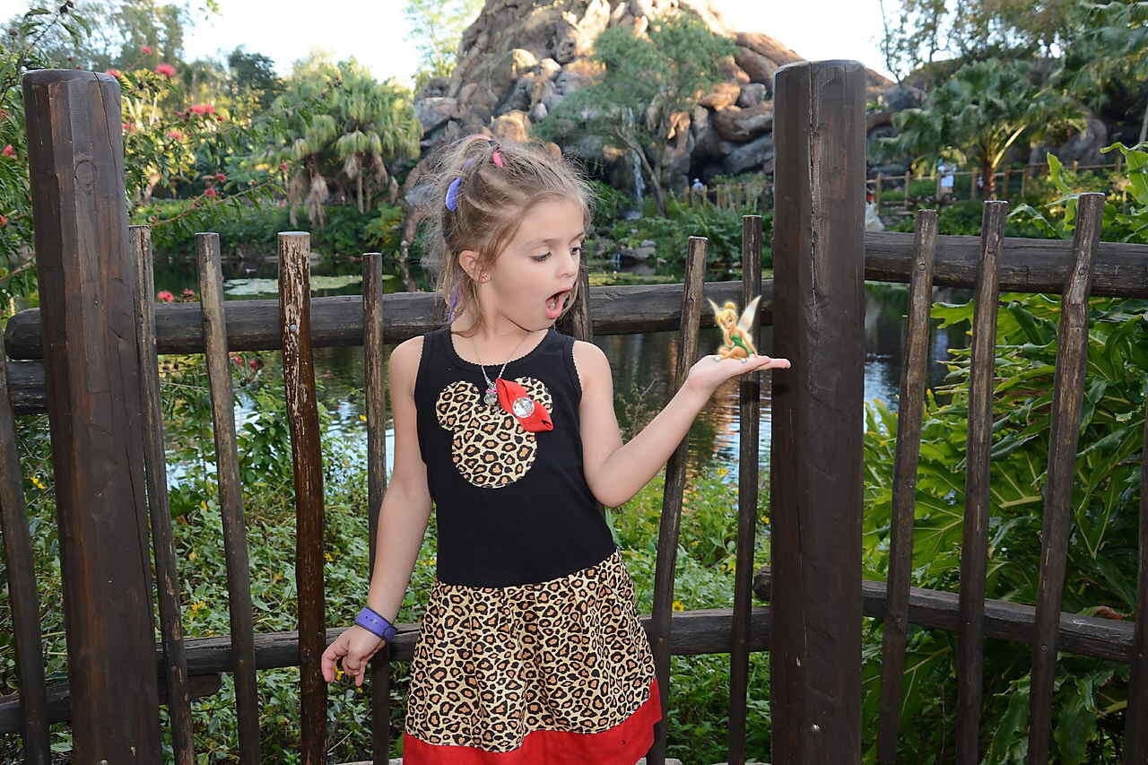 Safari, Cheetah, Minnie Mouse DRESS