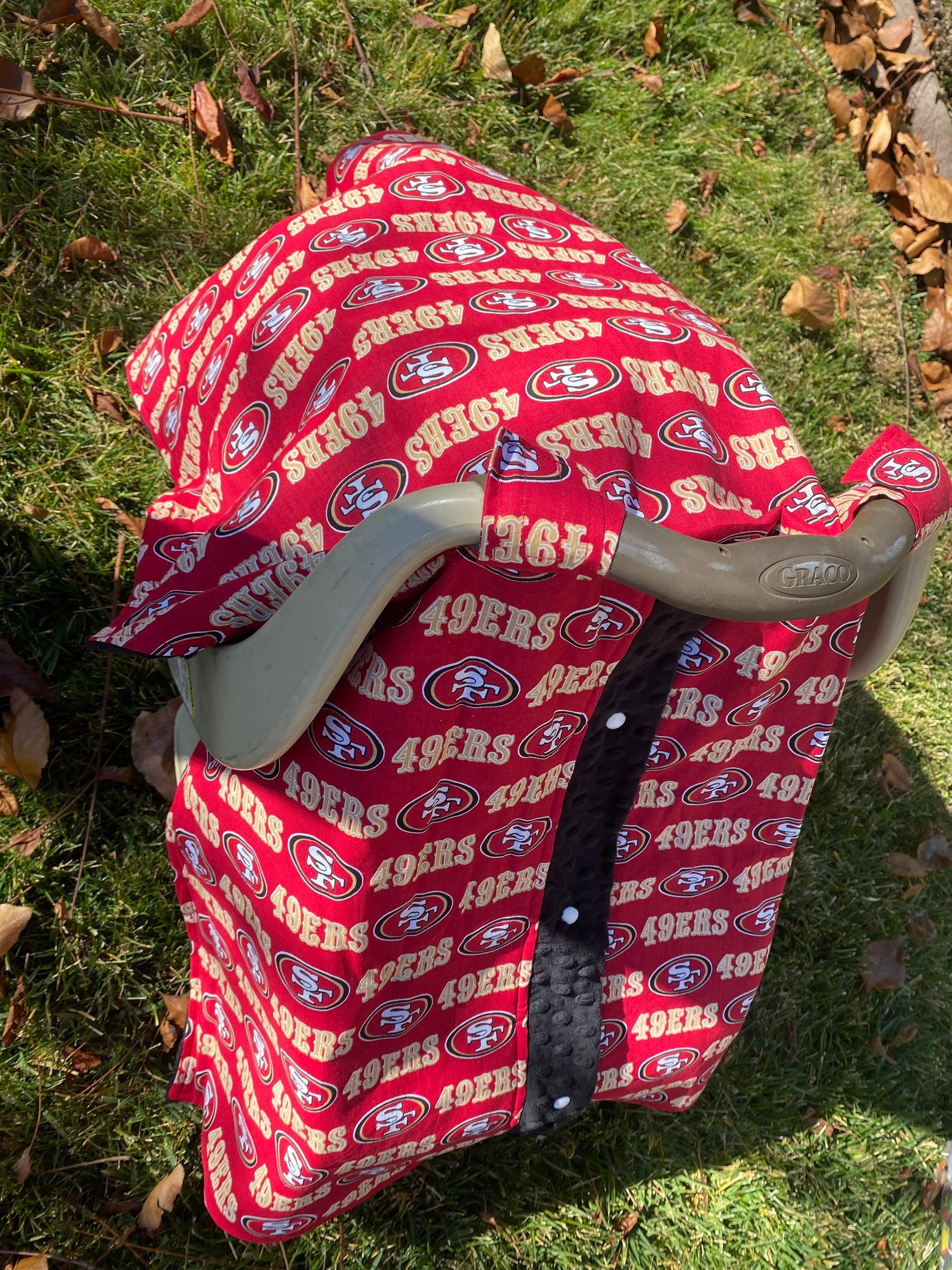 49Er Canopy Costco 98 - 2f5n61s