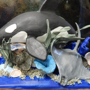 Killer Whale