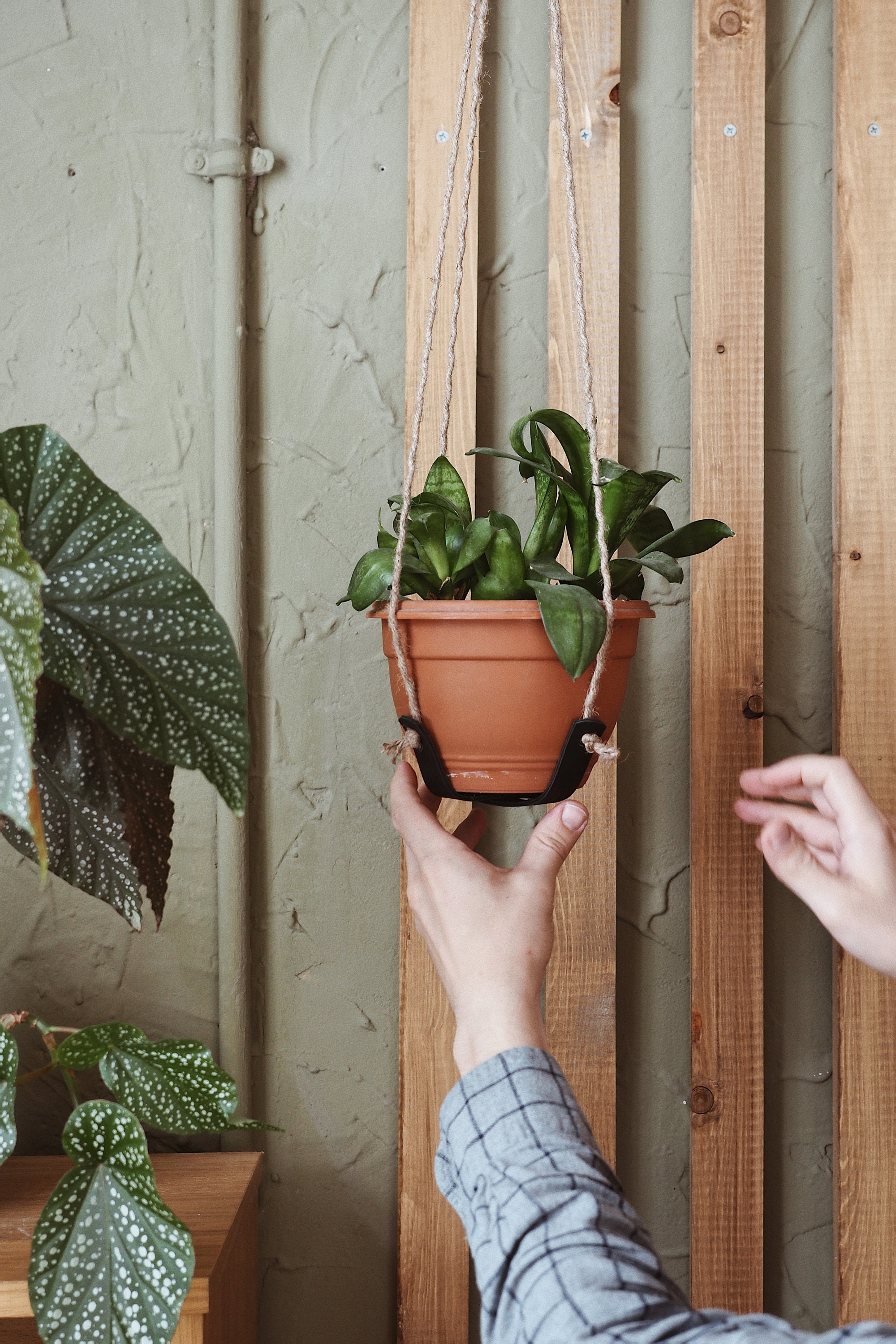 Adjustable leather plant hanger. Indoor leather hanging Etsy