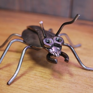 Fancy Spoon Beetle 02