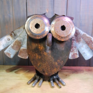 Shovel Owl