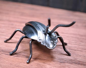 Fancy Spoon Beetle