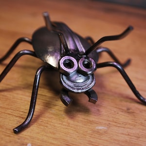 Fancy Spoon Beetle 01