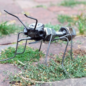 Ant image 1