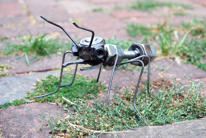 Ant image 1