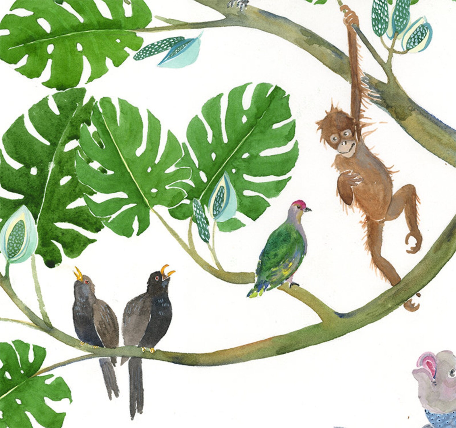 Darwin Tree - Etsy Australia
