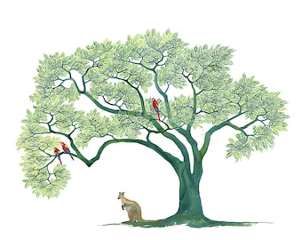 Wallaby Baum A1 Posterdruck