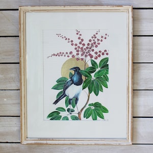 English Magpie