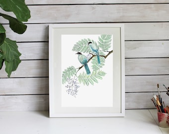 Azurblaue geflügelte Elstern