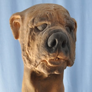 Dog Mask  Bully realistic dog  Foam Latex Mask Cosplay Halloween Masks Made in America