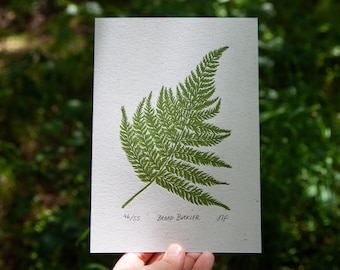 Broad Buckler Fern ↠ A5 ↠ Original Linocut Print ↠ Woodland Series by Hannah Farthing