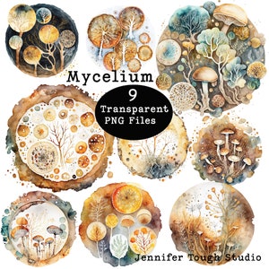 Mycelium Clipart PNG files, watercolor style, digital download, Mushroom Art, Transparent Background