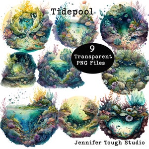 Tide Pool Clipart: Watercolor Ocean PNG Files, Commercial Use (Digital Download)