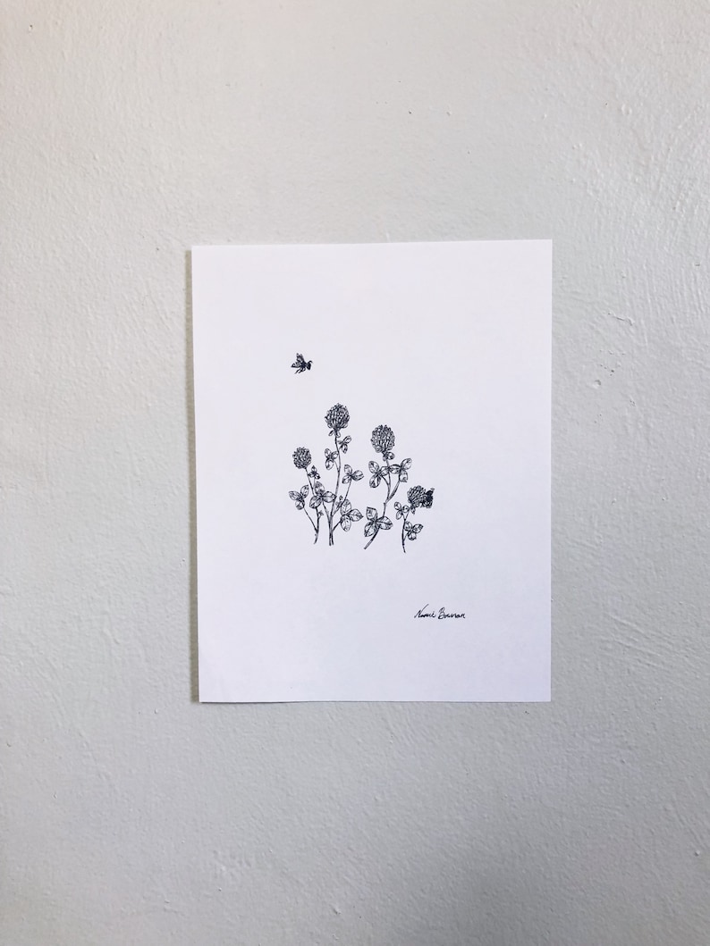 Red Clover honey bee Print ink pen, nature, herb, botanical sketch