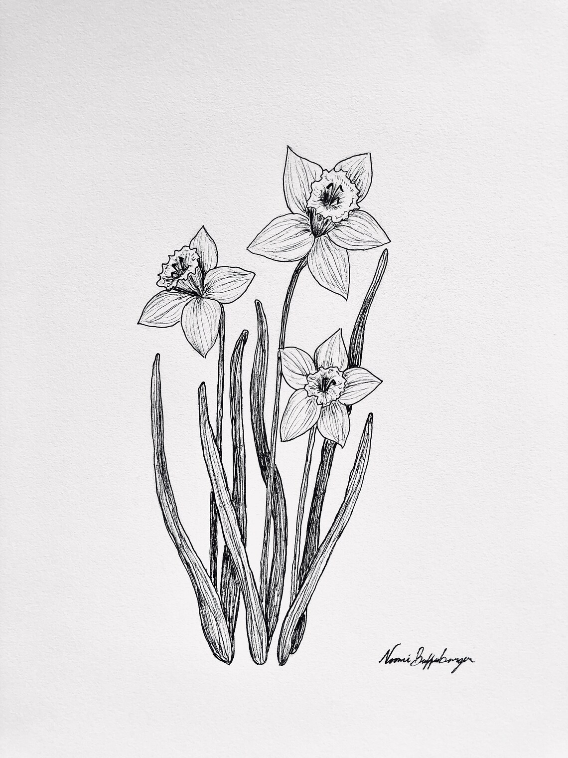 Daffodil Print Ink Pen Botanical Sketch Floral Art Minimalist March