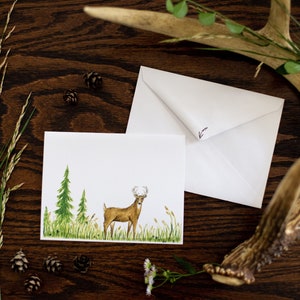 Woodland Whitetail Deer Cards |handmade|original art|buck|nature|plants|watercolor painting|michigan|hunt