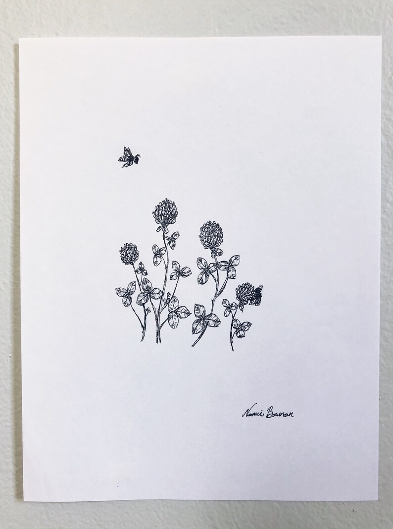 Red Clover honey bee Print ink pen, nature, herb, botanical sketch