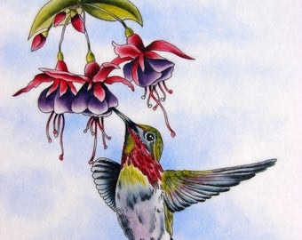 E PACKET Pen & Ink Oil Rouging - Hummingbird Painting Pattern, Art Kit, Painting Kit, Instructional Painting Packet, Birds E Packet