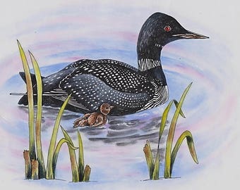 E PACKET Pen & Ink Oil Rouging - Northern Loon Painting Pattern, Art Kit, Painting Kit, Instructional Painting Packet, Birds E Packet