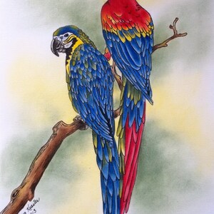 INK / OIL PAINTING - Macaw Exotic Oil Painting, Parrot Tropical Bird Paintings, Colorful Bird Art, Tropical Nature Art, 11x14, 16x20
