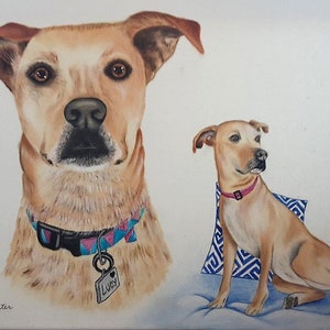 Custom Hand Painted Pet Portrait from Photo, Pet Oil Painting, Pet Art Gifts, Pet Loss, Personalized Pet Painting, Commissioned Pet Portrait