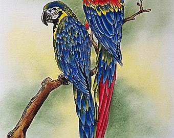 E PACKET Pen & Ink Oil Rouging - Macaw Painting Pattern, Art Kit, Painting Kit, Instructional Painting Packet, Birds E Packet