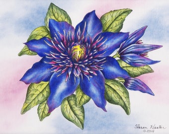 E PACKET Pen & Ink Oil Rouging - Clematis Flower Painting Pattern, Art Kit, Painting Kit, Instructional Painting Packet, Flower E Packet
