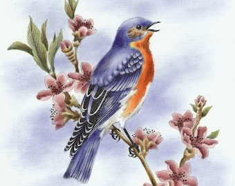E PACKET Pen & Ink Oil Rouging - Bluebird Painting Pattern, Art Kit, Painting Kit, Instructional Painting Packet, Birds E Packet