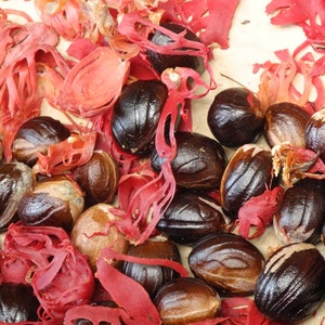 Organic Nutmeg (Whole) 1 lb