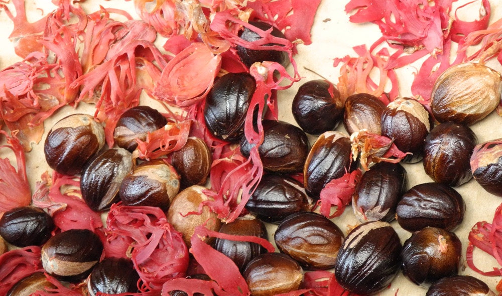 Organic Nutmeg (Whole) 1 lb
