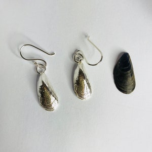 Mussel Shell Earrings, Sterling Silver, Sand Cast with a Sterling Silver Curb Chain