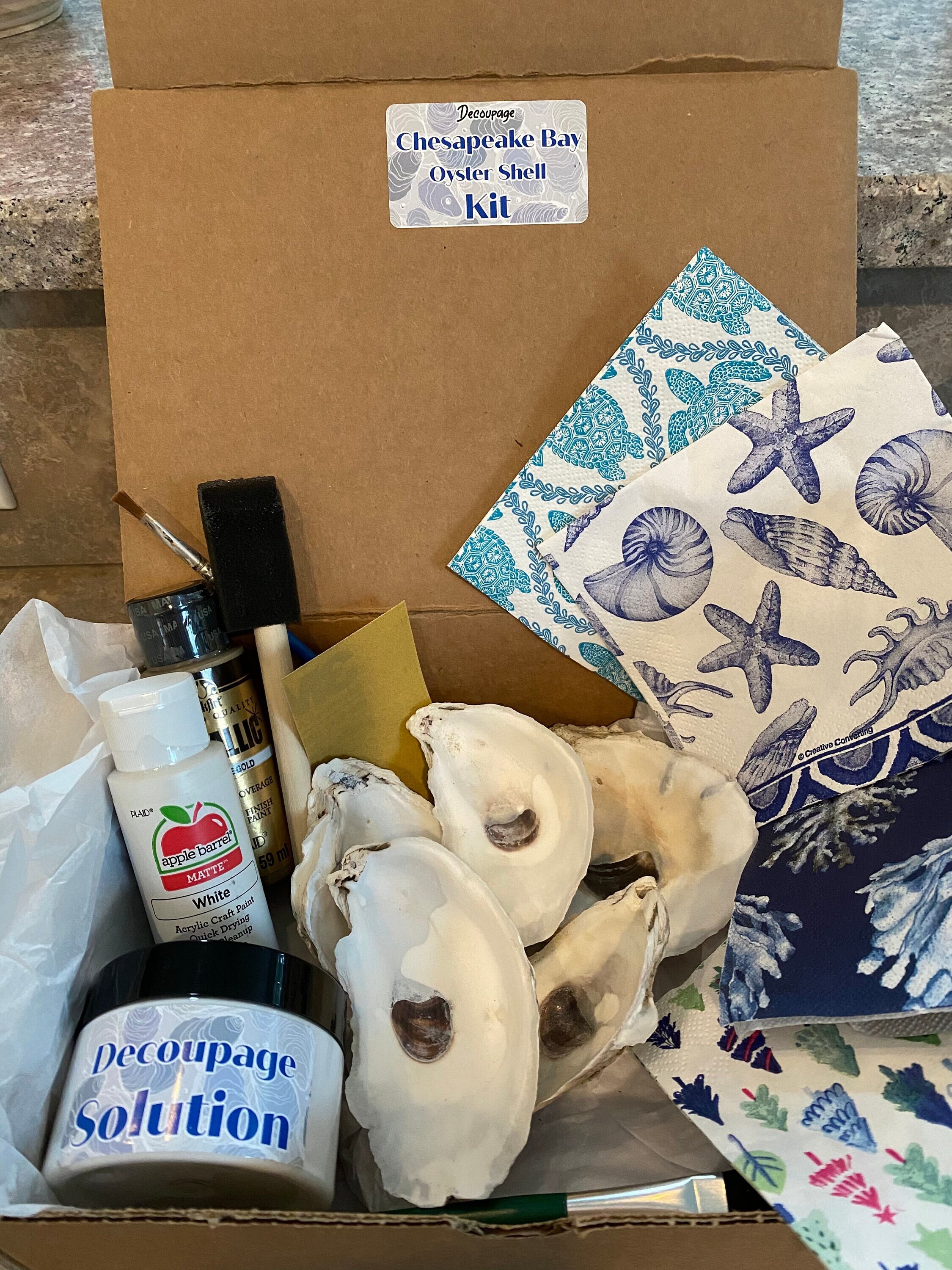 DIY Oyster Shell Decoupage Kit Etsy
