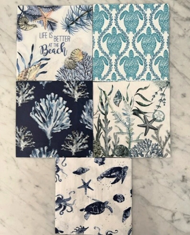 DIY Oyster Shell Decoupage Kit Etsy